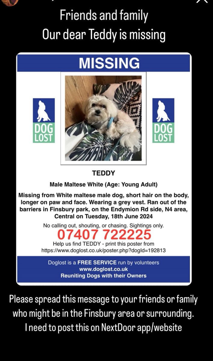 pashmk's tweet photo. If you are In Finsbury Park area please contact me or the number below If you find teddy 😢 PLEASE RT !!!!! https://t.co/TAZmESd7B2