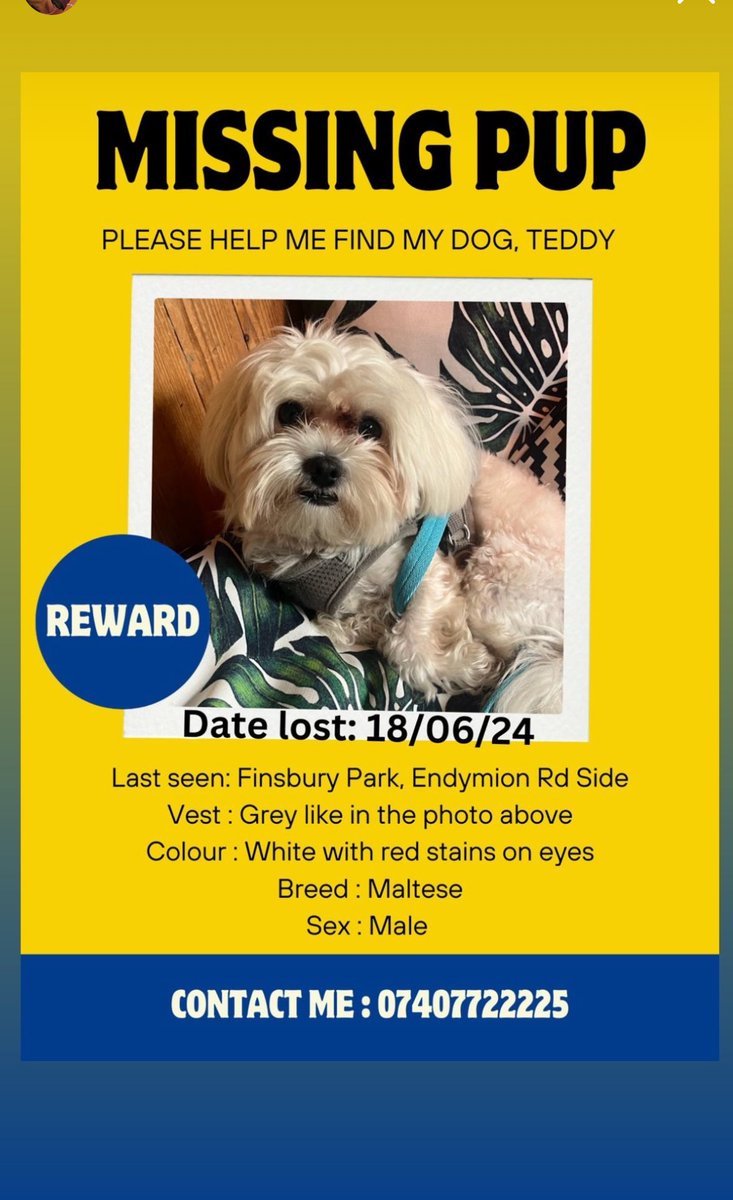 pashmk's tweet photo. If you are In Finsbury Park area please contact me or the number below If you find teddy 😢 PLEASE RT !!!!! https://t.co/TAZmESd7B2