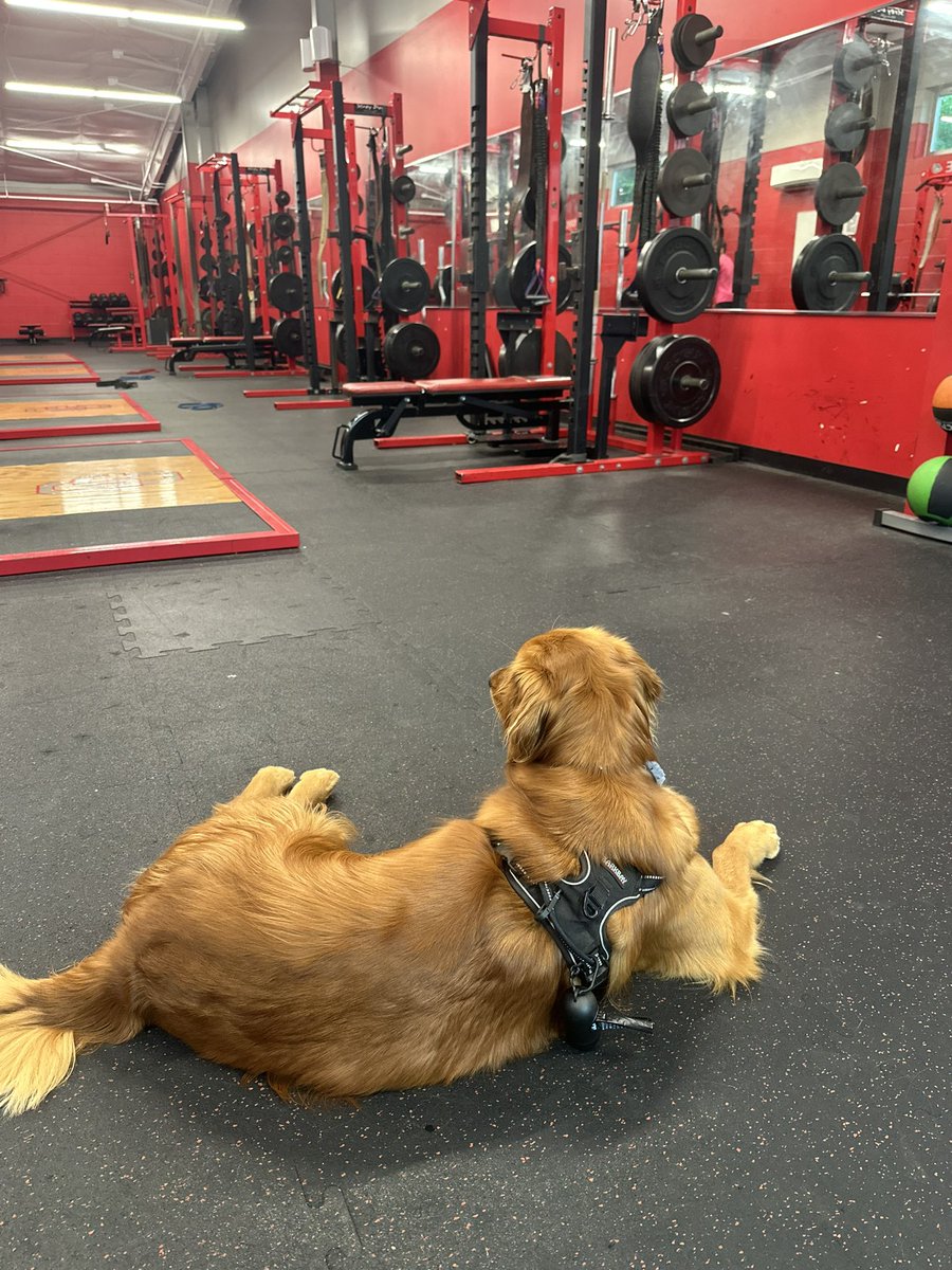 New S&amp;C coach for our baseball program. He had the boys working hard today!