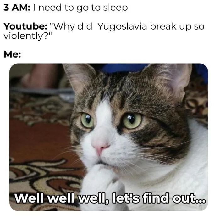 WholesomeMemes (@wholesomememe) on Twitter photo 