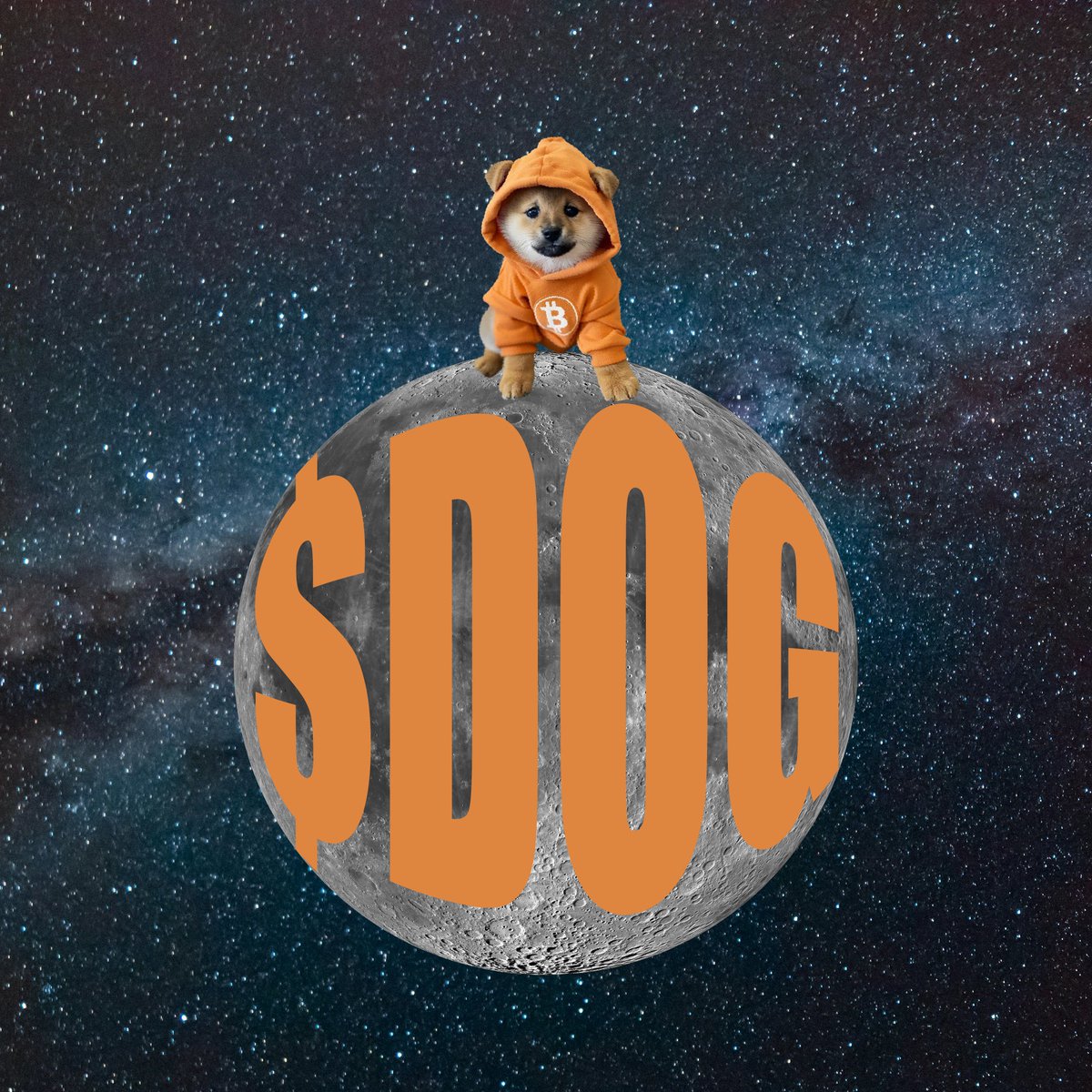 $DOG is the #1 memecoin on the #1 blockchain

Do not overthink this