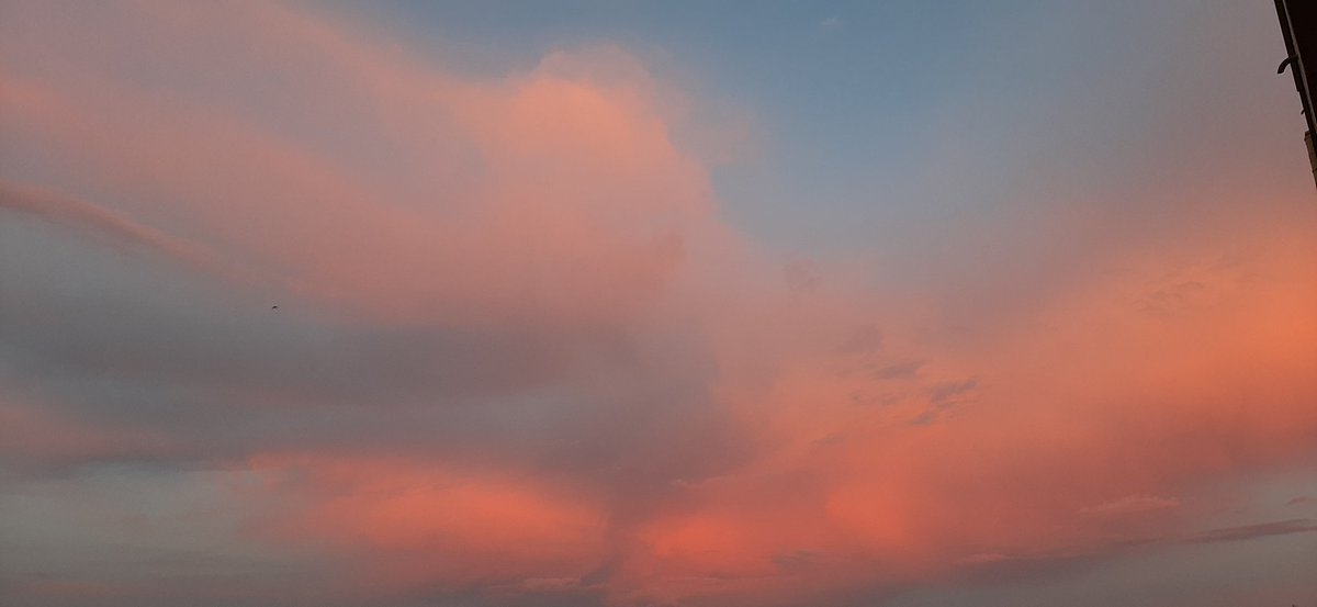 BuscadoraSoy's tweet photo. #WorldInMyWindow https://t.co/cKHeu49ezb