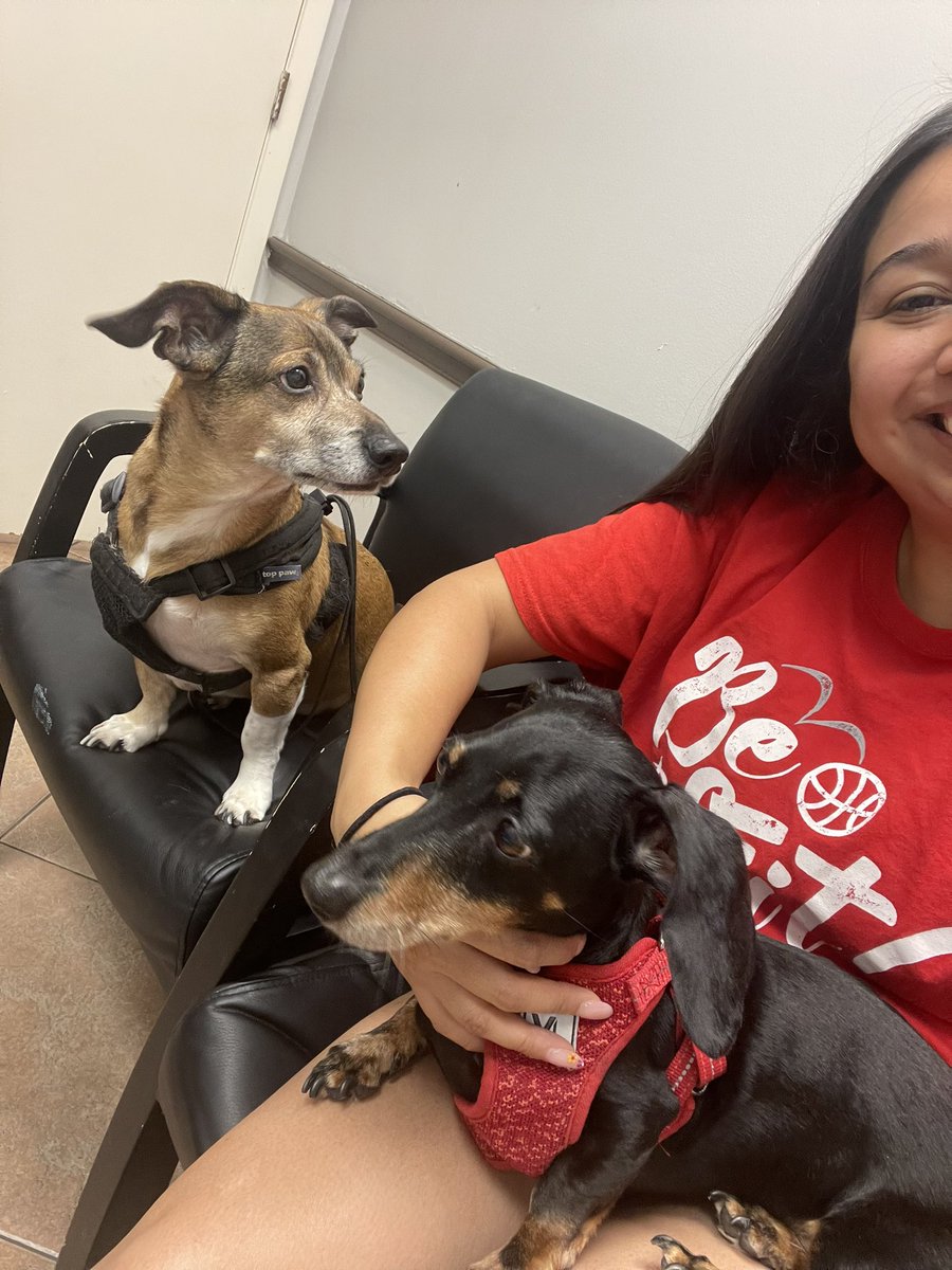 MsMedinasClass's tweet photo. A little family picture at the vets office! @CimarronElem #CEcheetahs #CimarronWorldTour https://t.co/K63XevGRKe