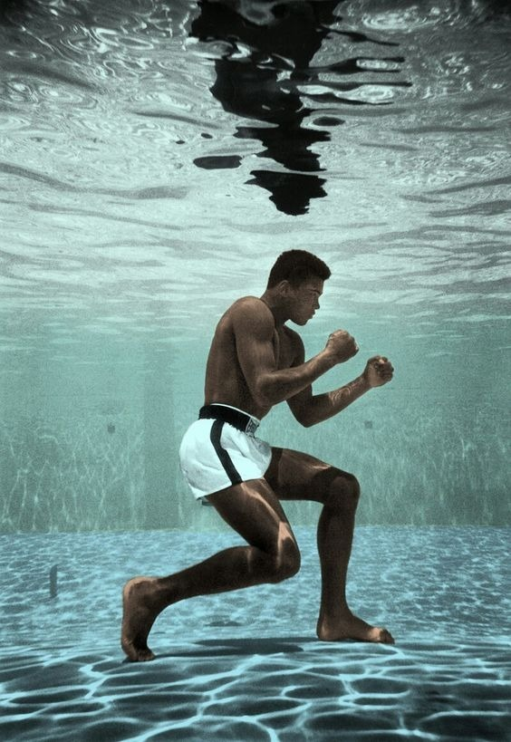 ElArteDeVivir__'s tweet image. “Odiaba cada minuto de entrenamiento, pero dije: No te rindas. Sufre ahora y vive el resto de tu vida como un campeón.”

- Muhammad Ali