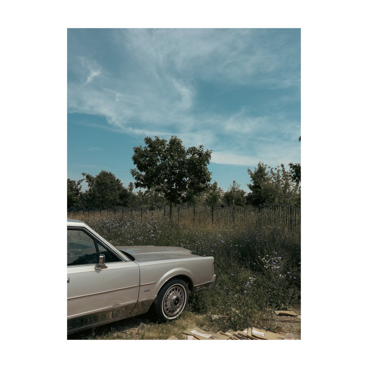 mparkin2's tweet image. Took a bike ride around Mill Basin this morning. Lots of McMansions and classic cars… interesting place