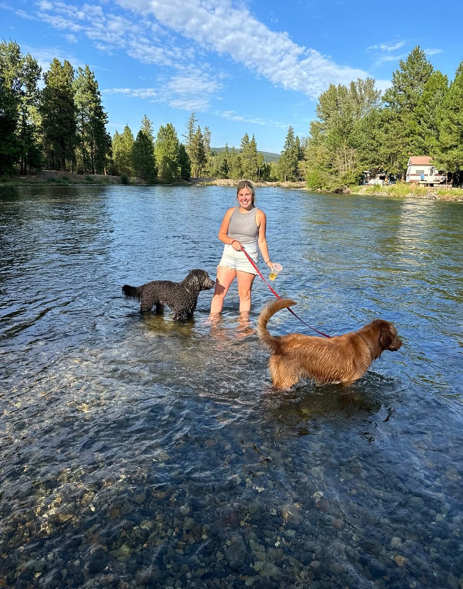 cherrydude's tweet photo. #Top4Theme this week is #Top4Splash Tag hosts @obligatraveler @OdetteDunn @pipeaway_travel @intheolivegrov1
1. River ride at @GreatWolfLodge !
2. Whale tails splashing on whale tour
3. Daughter splashing with dogs on camping trip
4. Grandson getting ready for big splash! https://t.co/wL5JtfSWKI