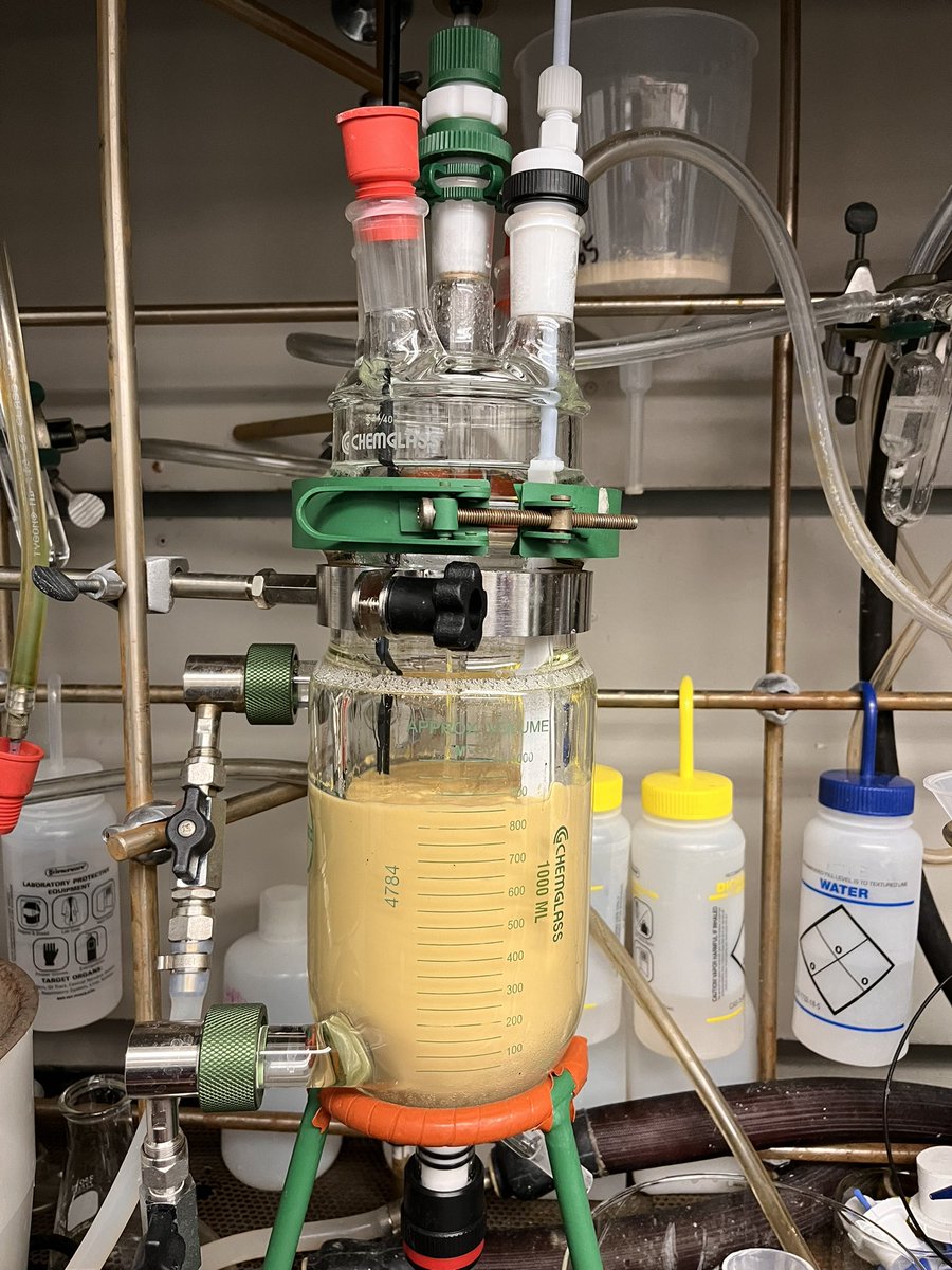 ChemistWhoCooks tweet media