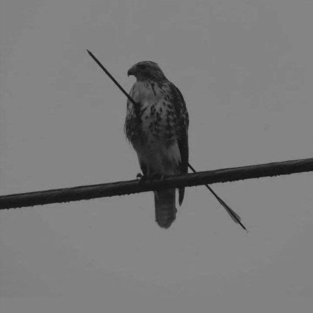 War Aesthetic (@aesthetic1war) on Twitter photo 