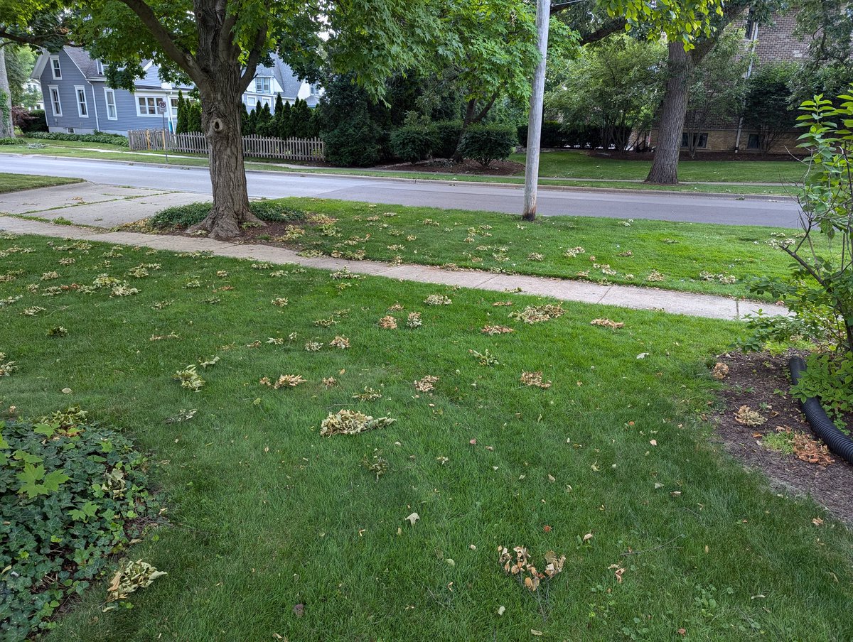 Timber Ninja tweet media