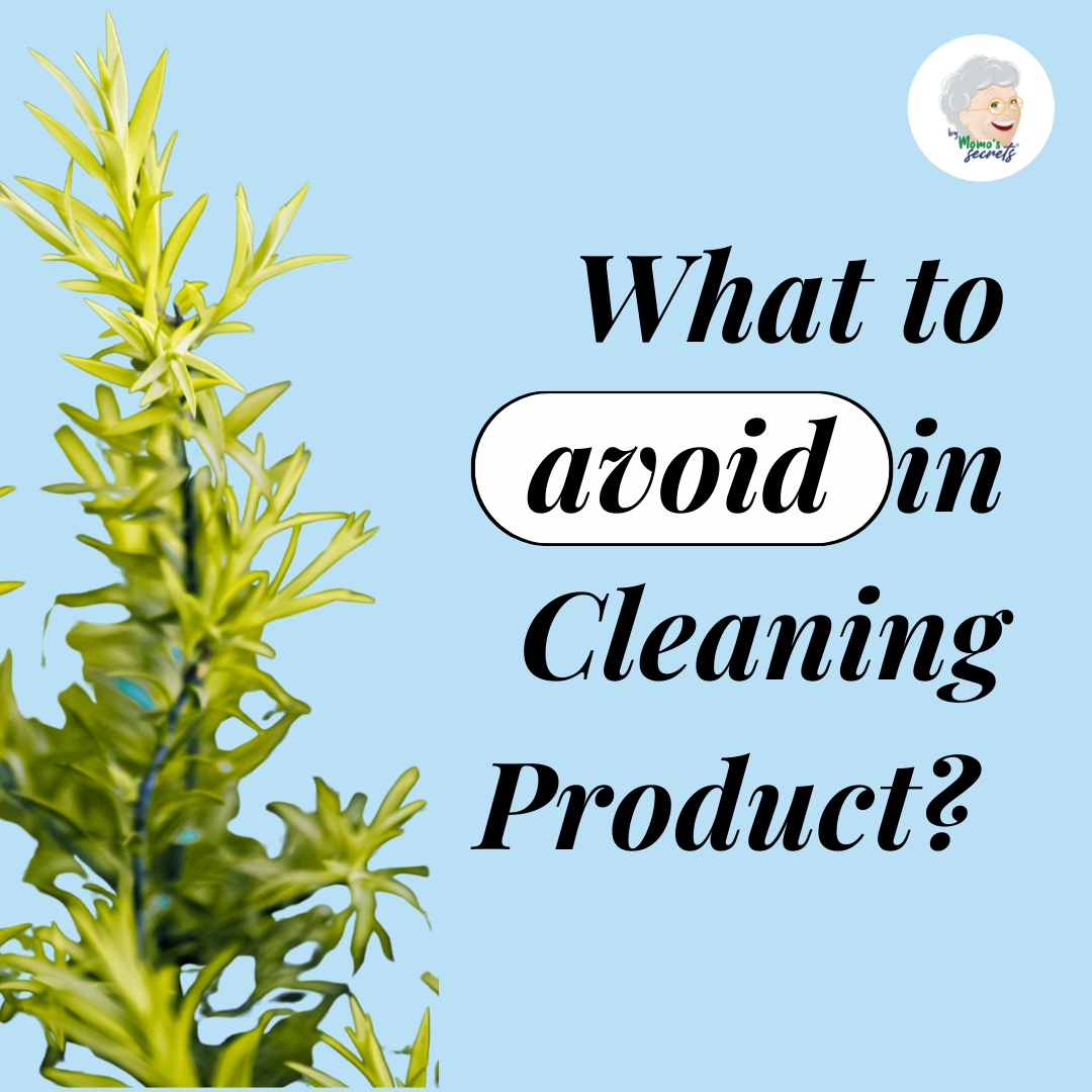 Momos Secrets tweet media