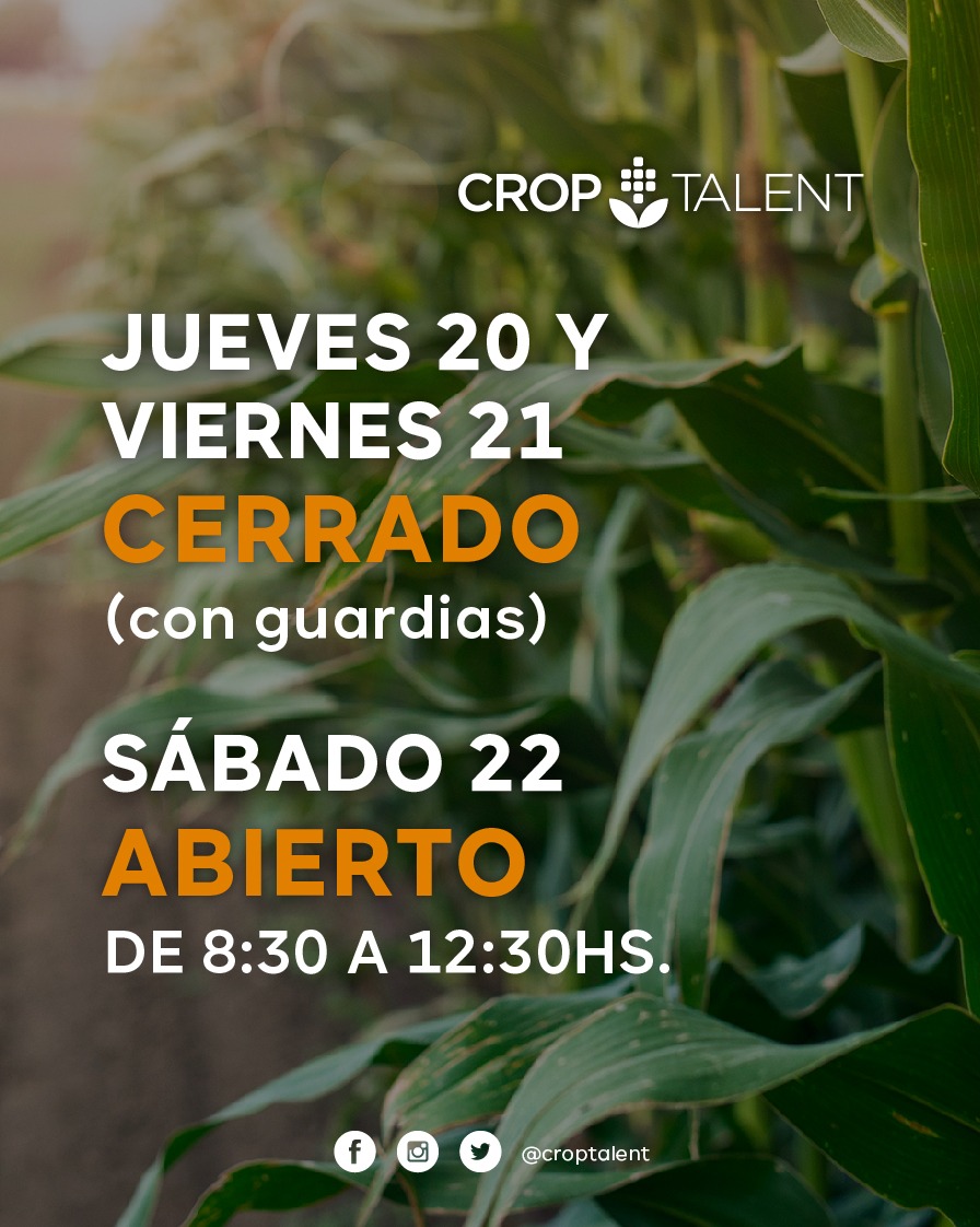 Dónde XXL 👉 mirá cómo vamos a funcionar