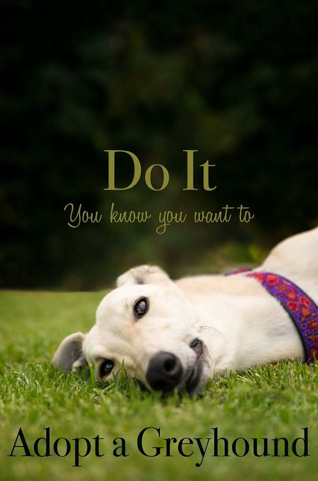 velvets14's tweet image. 