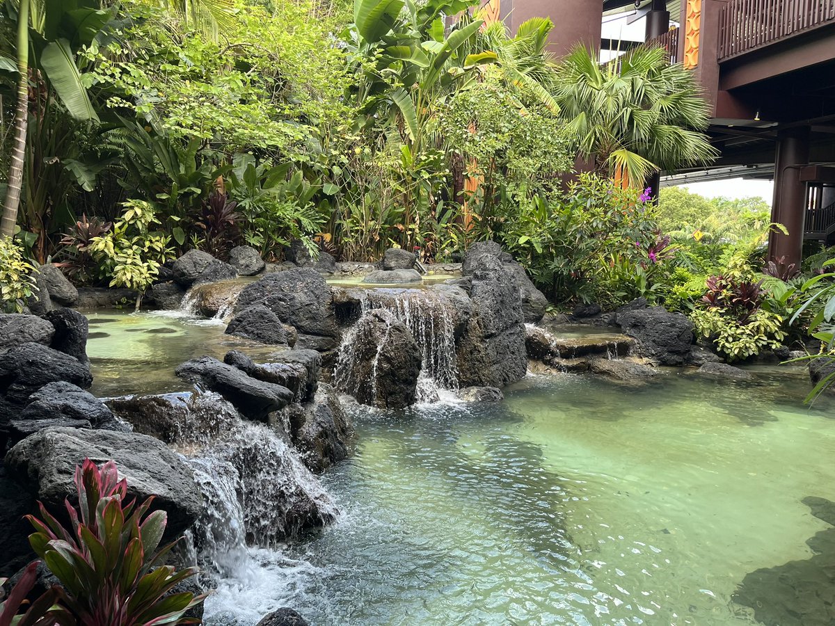 adam_ap_wdw's tweet image. Early dinner at O’ Hana