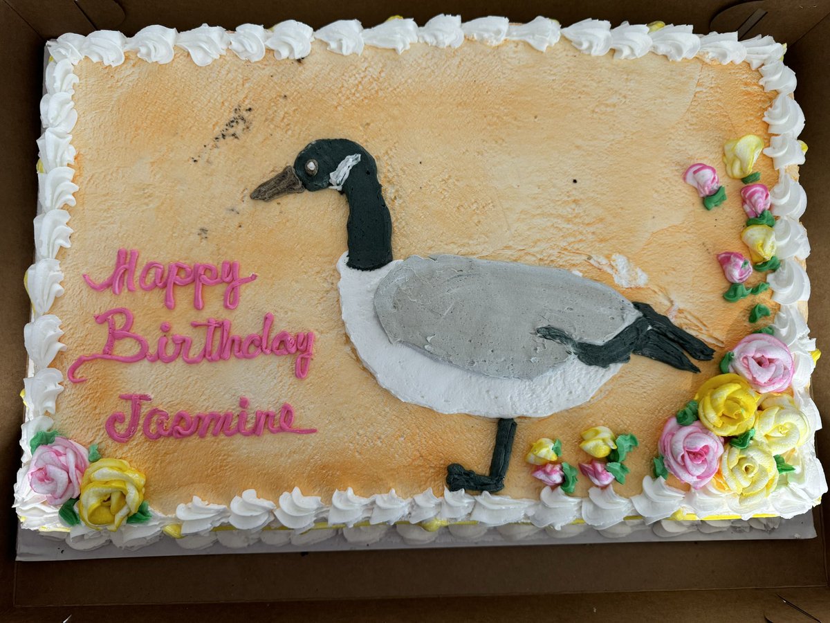 PoeTheBadger's tweet photo. Another year, another 10/10 cake with a silly request delivered beautifully 💯🪿

SUPPORT YOUR LOCAL MEXICAN BAKERY Y’ALL!! 🇲🇽🎂 https://t.co/nANAKNC5Pl