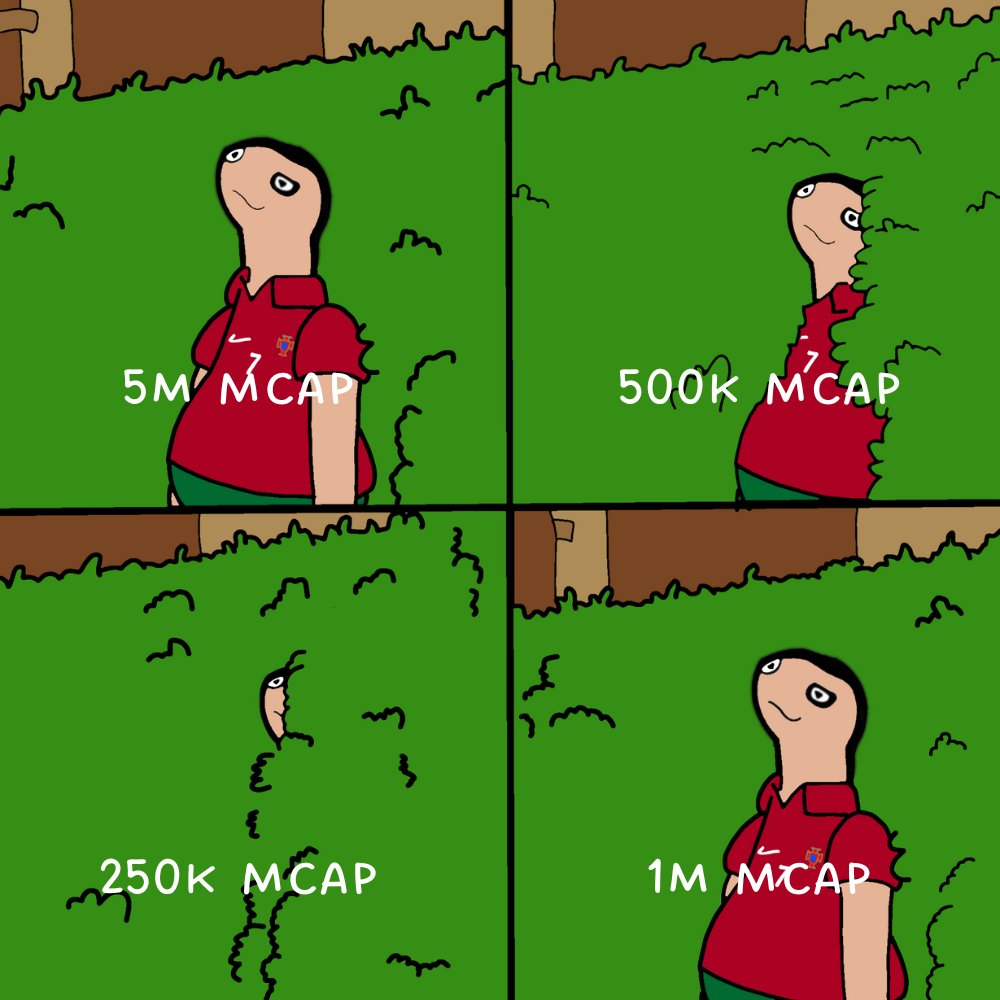 meme maxi tweet media