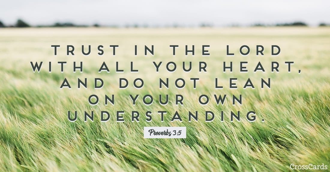 Daily Bread (@dailybreadbox) on Twitter photo 