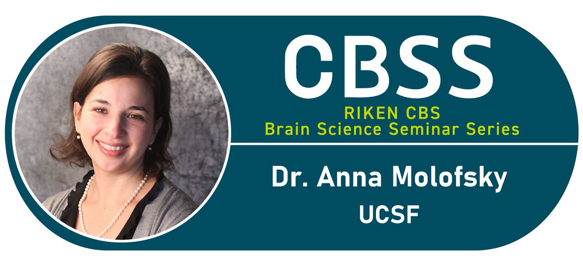 RIKEN Center for Brain Science (@riken_cbs) on Twitter photo <a href="/AnnaMolofskyLab/">Anna Molofsky</a> will be giving a lecture at the next #CBSS on “Cytokine regulation of brain development and plasticity.”
🔵Date: Monday, July 1, 15:40-17:00 (JST)
🔵Format: Hybrid (onsite at <a href="/RIKEN_CBS/">RIKEN Center for Brain Science</a> and Zoom webinar)
Don’t miss out! Register now: cbs.riken.jp/en/BSS/2024070… <a href="/AnnaMolofskyLab/">Anna Molofsky</a> will be giving a lecture at the next #CBSS on “Cytokine regulation of brain development and plasticity.”
🔵Date: Monday, July 1, 15:40-17:00 (JST)
🔵Format: Hybrid (onsite at <a href="/RIKEN_CBS/">RIKEN Center for Brain Science</a> and Zoom webinar)
Don’t miss out! Register now: cbs.riken.jp/en/BSS/2024070…