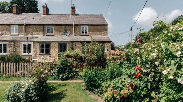 The time and effort one might invest into a garden might not yield the desired outcome one would hope for. But there are some ways to help this, try these few simple tips to get more out of your garden!

#Garden #June #Texas #Plants

buff.ly/3XsHB39