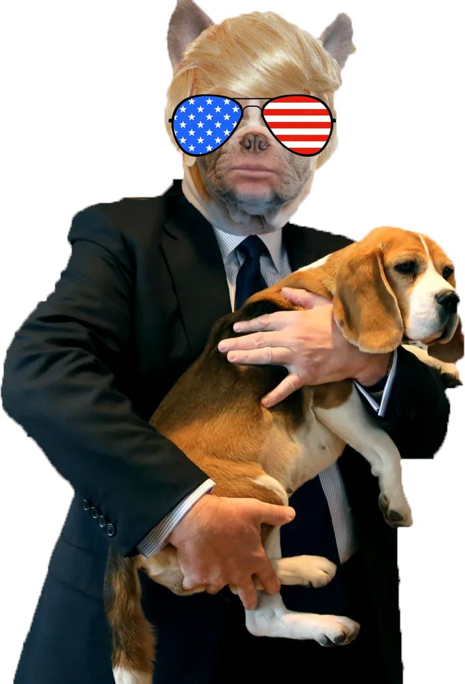 AnyDegen's tweet photo. @1000xgirl New Crypto Gem @DoggyTOnSol #memecoin on #Solana https://t.co/yyaUWZGX4B
