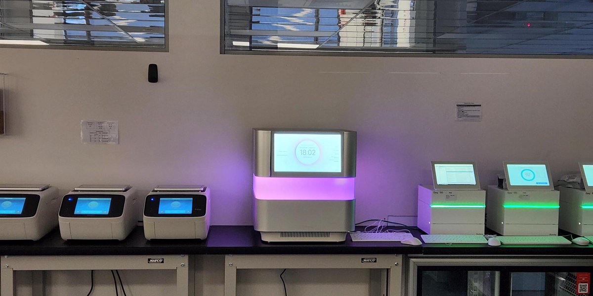 The cat is on the patio