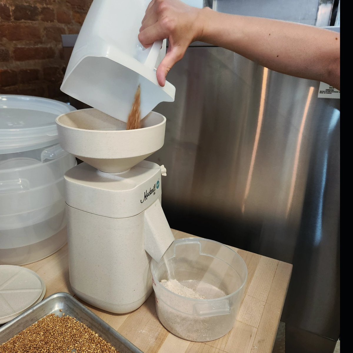 AtlasConchas's tweet image. Join us Thursday and Friday 7:30 AM - 1 PM for Conchas and coffee! We&apos;re making limited quantities for our last two soft opening days, so come early! #microbakery  #spanishharlem  #eastharlem  #conchas #coffee