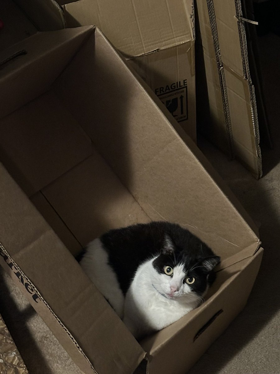 Valerie 💛 tweet media