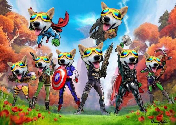 MOGDOG_SOLANA's tweet photo. MOGGERS UNITE! 
$MOGDOG https://t.co/qQyQwD5S8I