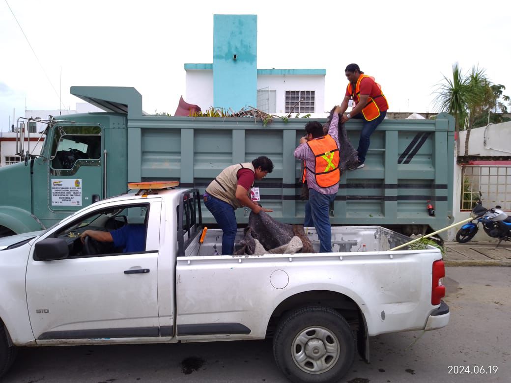 PPA Quintana Roo tweet media
