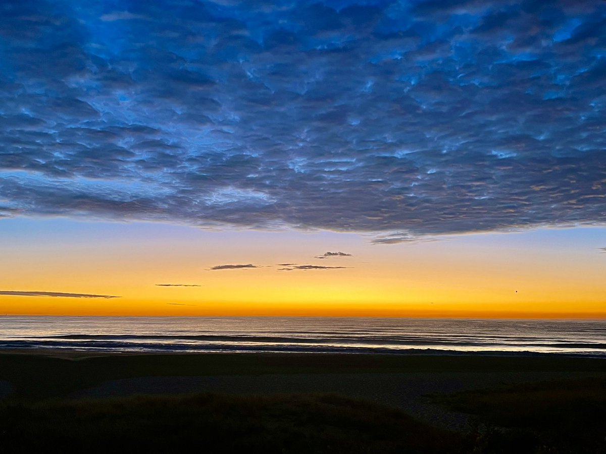 Dr Kaara Calma tweet media