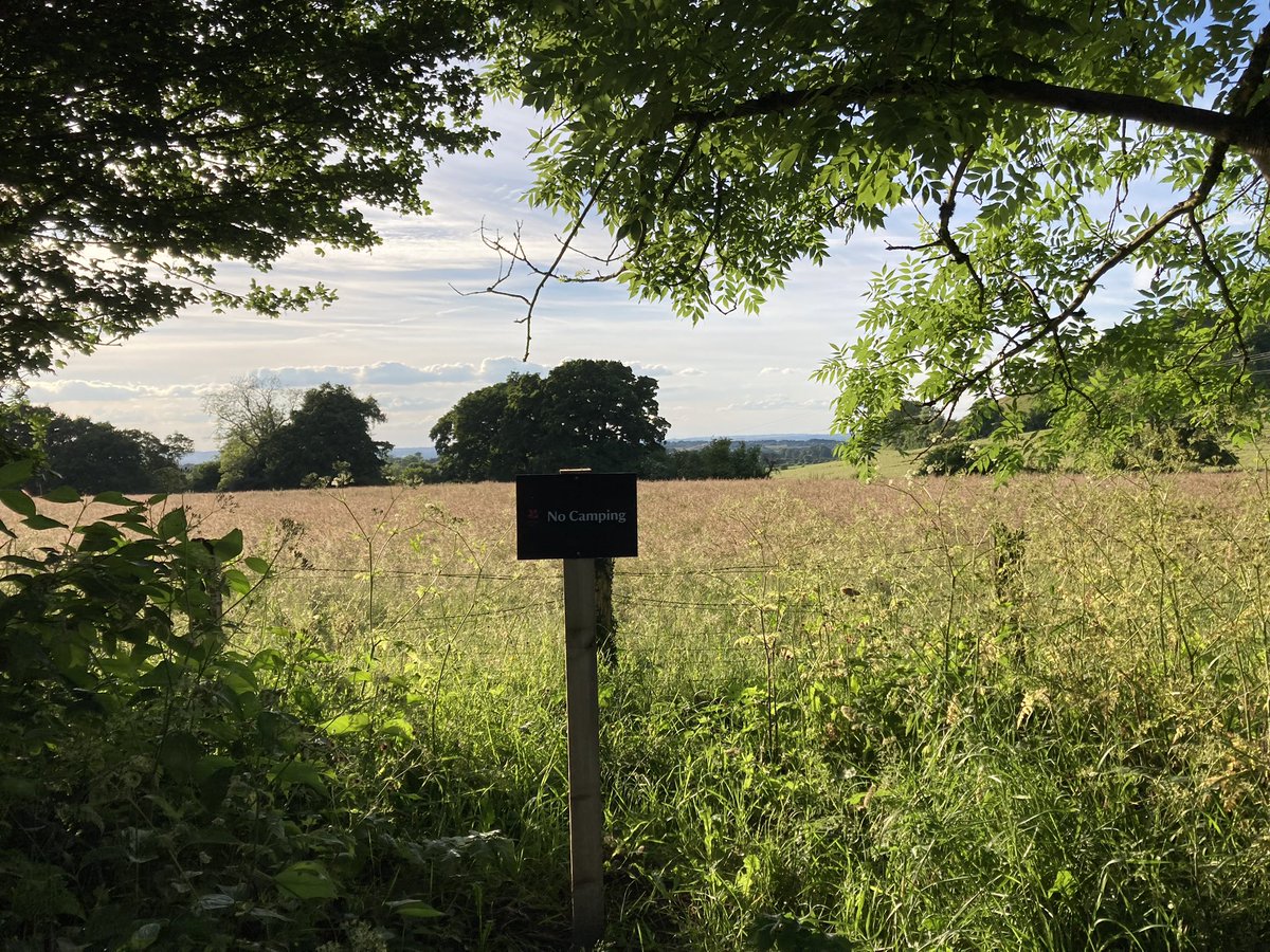 ben89661370's tweet image. This “no camping” sign really knows how to position itself.
