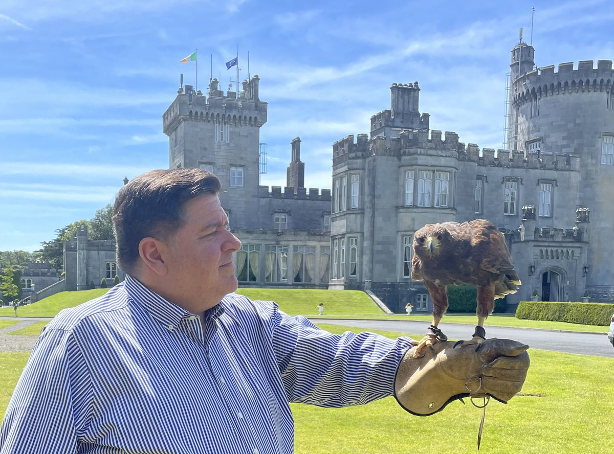 This hawk has 34 fewer felony convictions than Donald Trump.