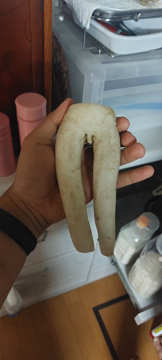 VirtualFecchi's tweet image. My neighbor gave us a radish and why am I bricked up rn??