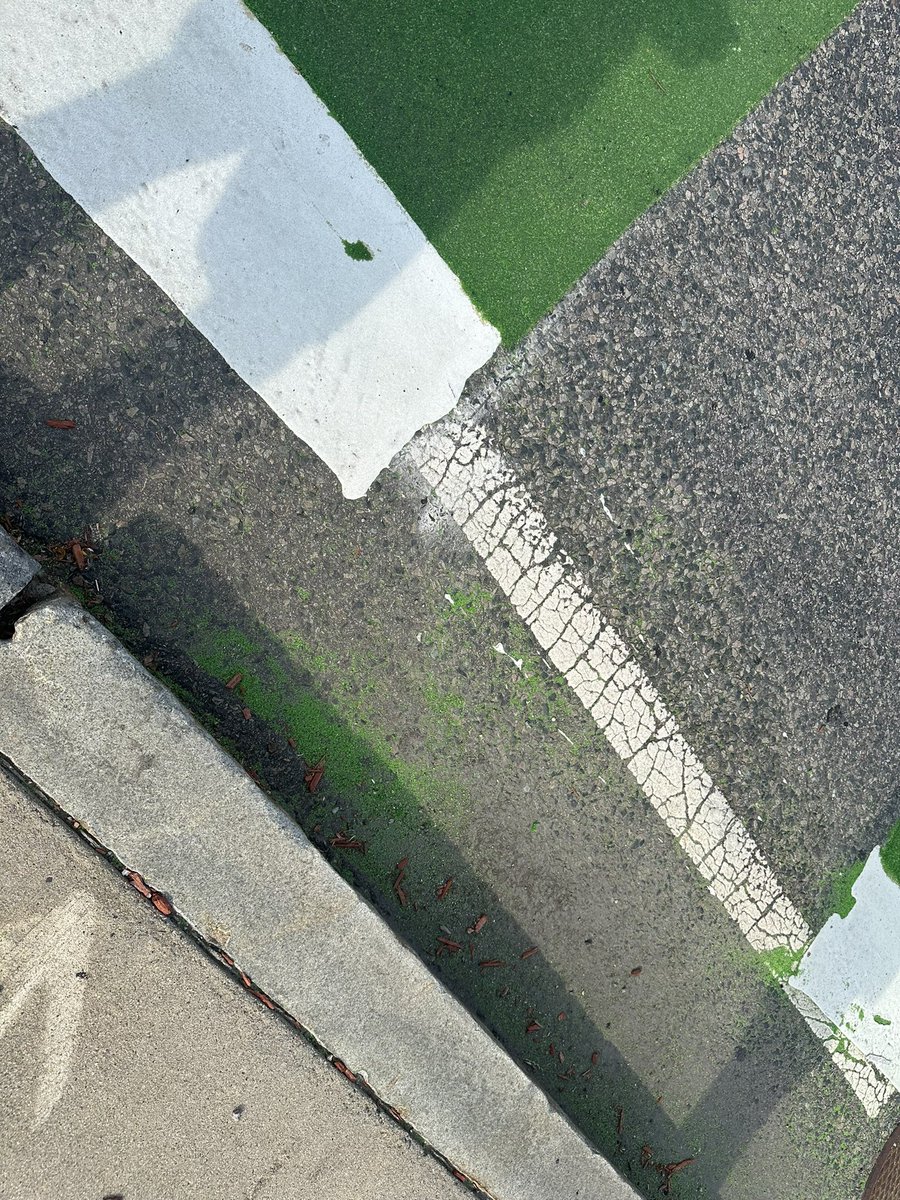 FollowCookie's tweet photo. Anybody know what the green powder they used to create the bike lanes (which is now everywhere on #centrestreet in #westroxbury) is made of? @universalhub https://t.co/BgPMRZgR2T