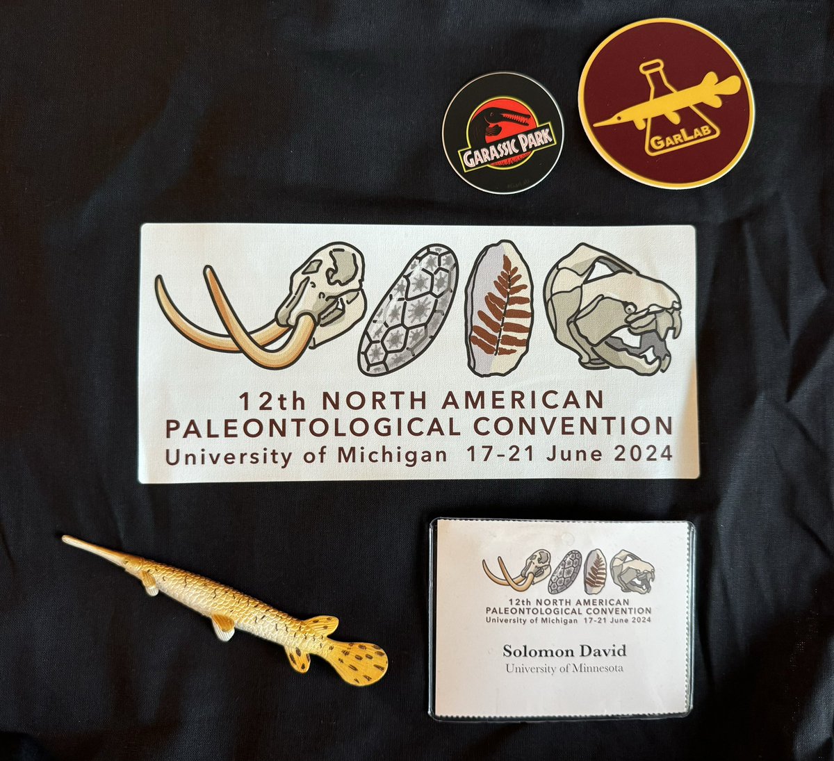 SolomonRDavid's tweet image. Excited to attend my first paleontology (??!!) conference, @Napc2024! 
I’ll be talking about living fossils at a fossil meeting…should be fun! #NAPC2024