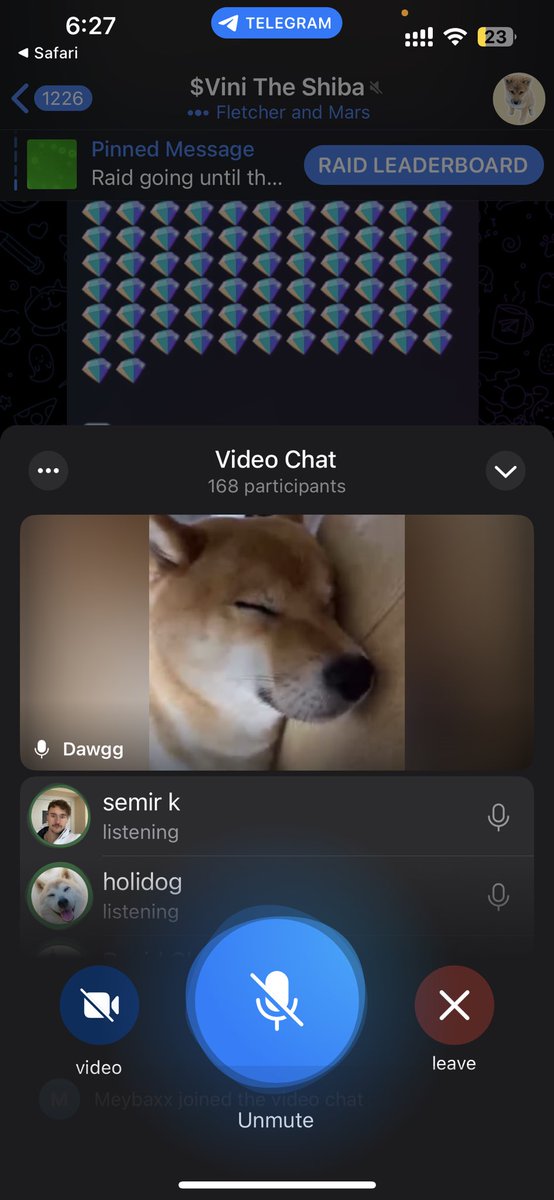 rokcy3ninja's tweet image. lol $VINI is sending. 

1.2m

watch for entries 

dexscreener.com/solana/6gyqre5…

The cute dog is live on tg too