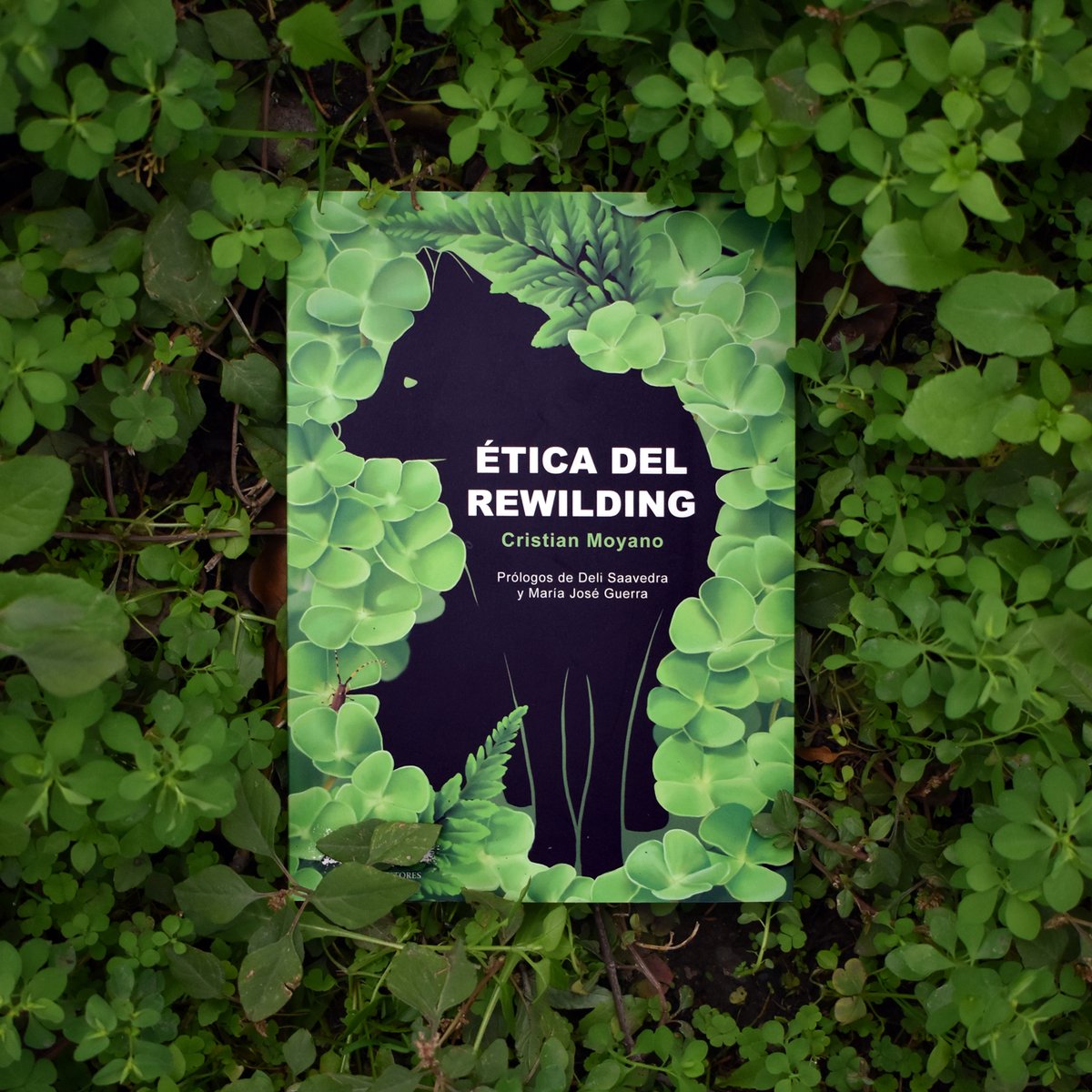 Libro Verde tweet media