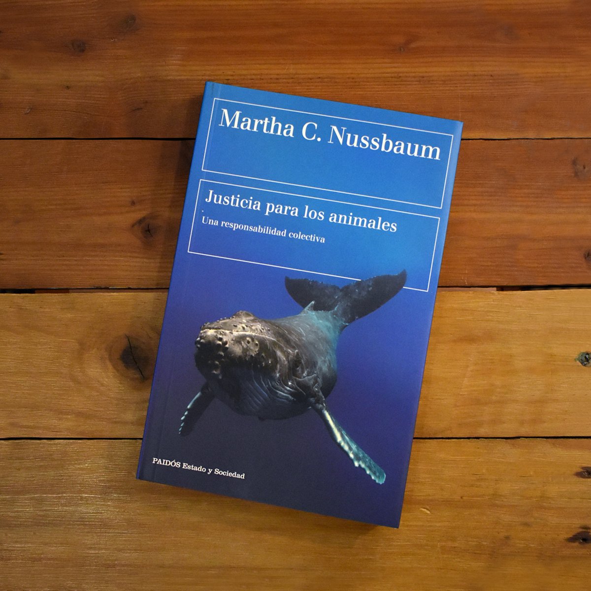 "Los derechos de los animales deberían reconocerse como un problema tan grave como el que existe con los derechos humanos"

Martha C. Nussbaum

#JusticiaParaLosAnimales #DerechosDeLaNaturaleza #MarthaNussbaum