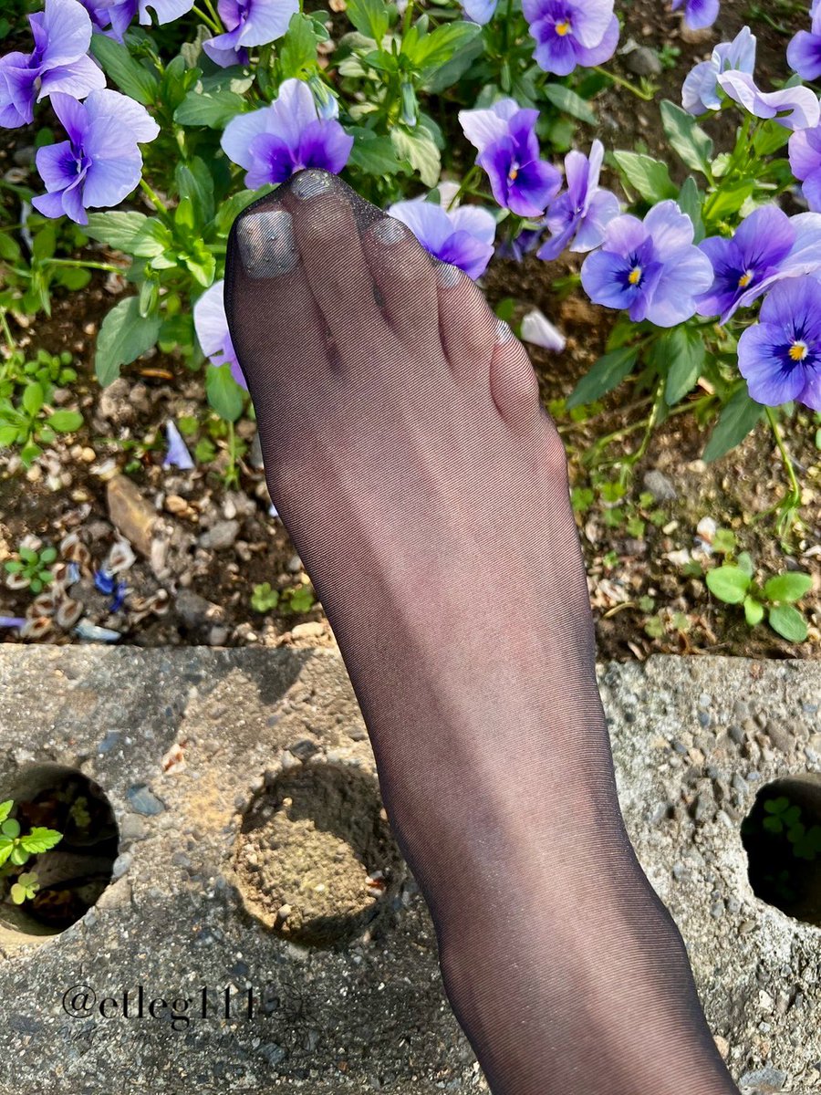 おはようございます☀☀😃
お花とパンストつま先（黒）👣
💐🪷🌻🌺🌹🌼🌷🌸 https://t.co/YKS5ljmTzG