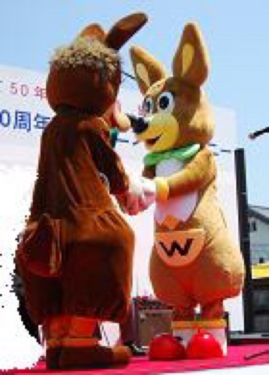 ✨昔のネタをプレイバック✨ 初代ワラビーくんが20歳の時‼️（2009年