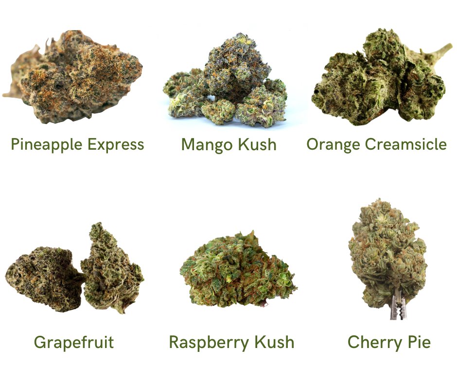 CannabisTrainU's tweet photo. 🌞🌿 Our Favorite Summer Strains! 🌿🌞 Double tap if yours made the list!

Discover more refreshing summer strains here:  https://t.co/B0kNxiVZnG https://t.co/QUxHKmw4jQ