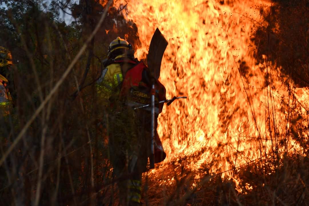 HSanchezOficial's tweet photo. Esta época del año nos desafía a ser más eficientes en la lucha contra la quema e incendios forestales. Hoy demostramos nuestra capacidad de respuesta ante estos siniestros.Con unidad, nuestras capacidades siempre se multiplican.¡Gracias a todos por su participación y compromiso! https://t.co/5gJDtRIH1f