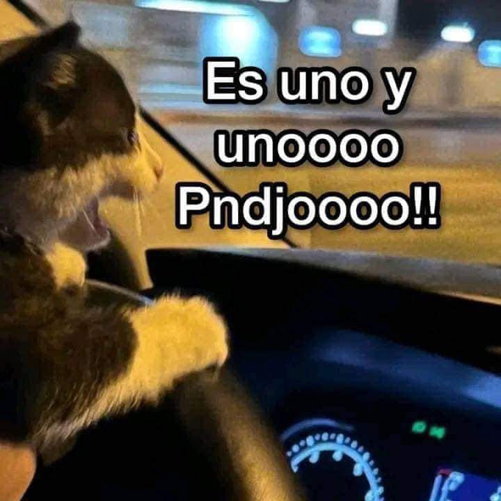 Bruja Pititis tweet media