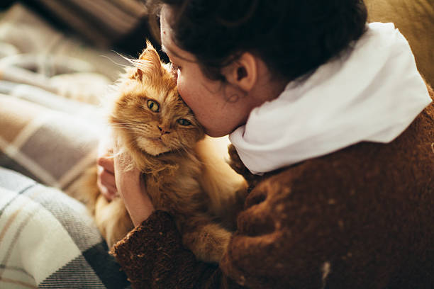 BeverlyOaksVet's tweet image. If you could ask your pet one question and get an answer, what would it be? Please share your thoughts with us! #PetQuestions #CuriousOwners