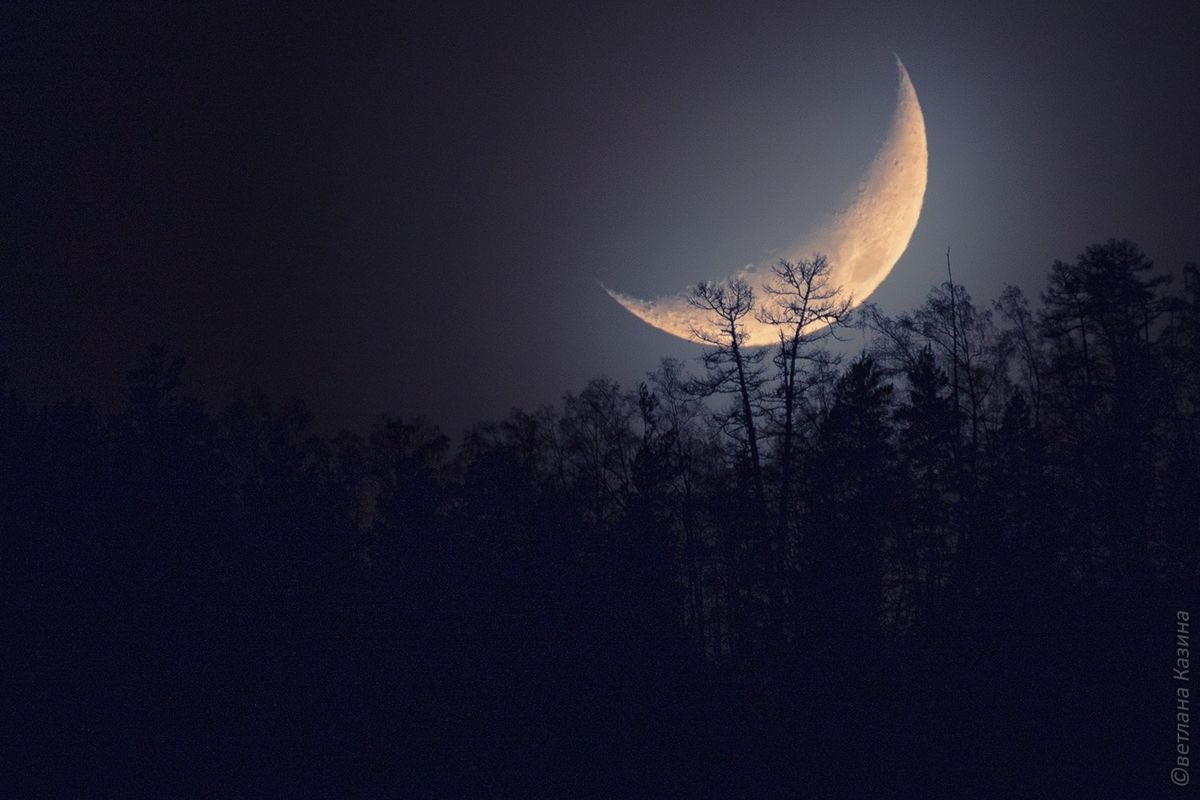 Tomorrow 
Will be a better day. 
I hope 🖤

Goodnight ~
Till the morning light✨🌙