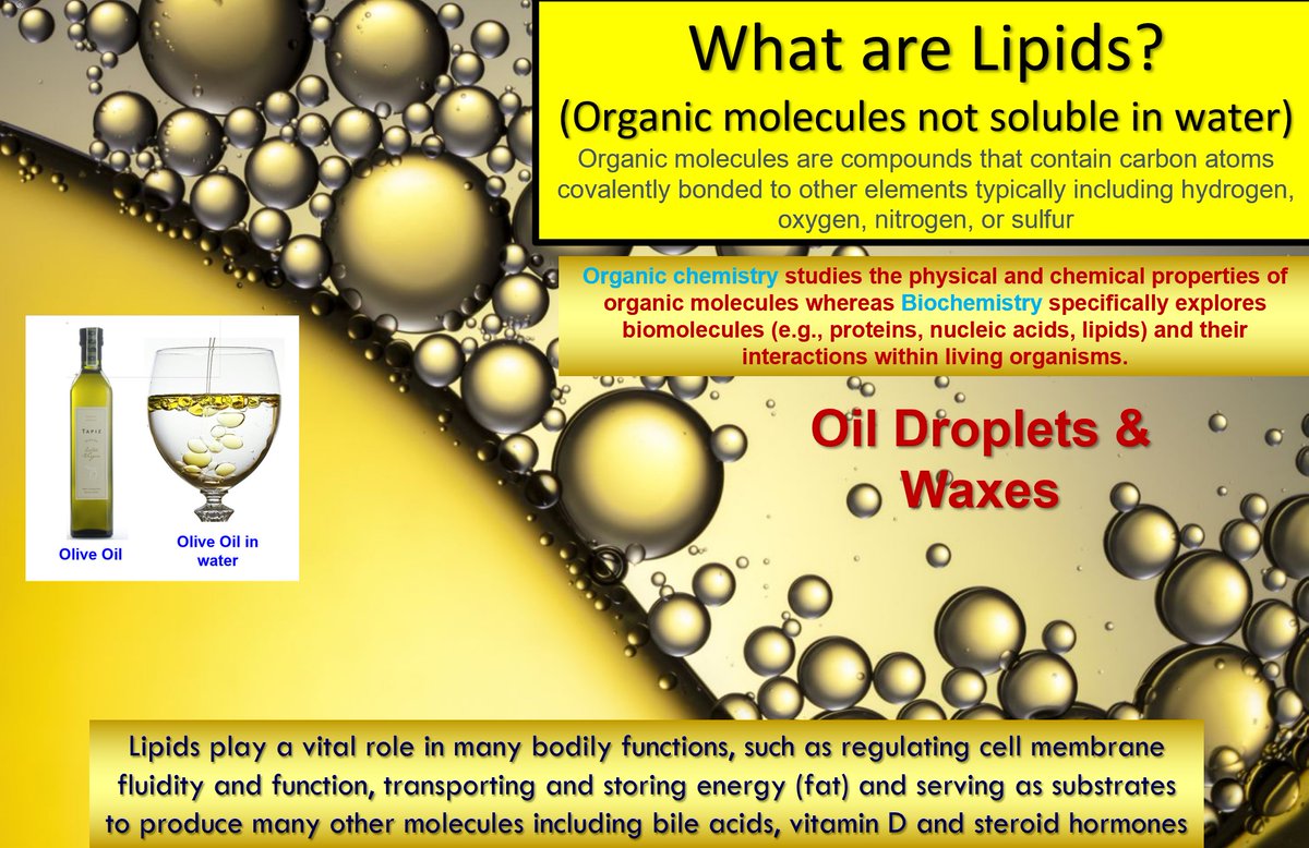 Drlipid's tweet photo. Here are graphics packed full of crucial information for those wondering "what is a lipid" and how do hydrophobic (nonpolar) lipids travel in aqueous plasma. @nationallipid  @society_eas https://t.co/txGUgwFrN8