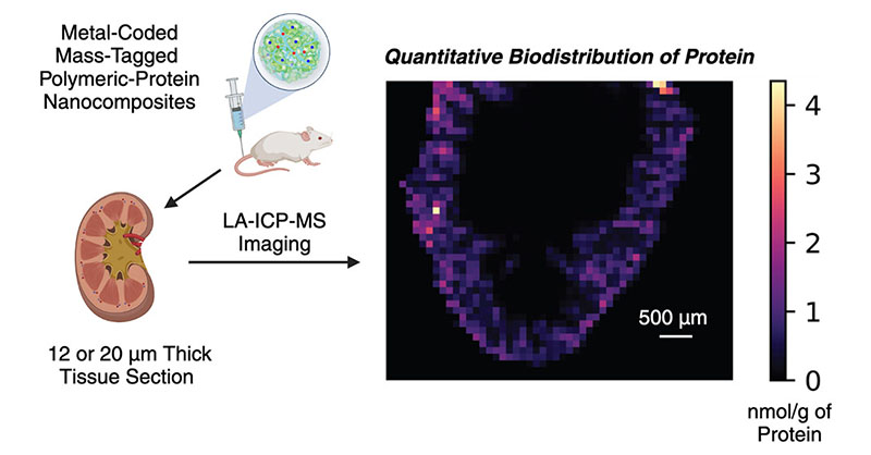 ACS Nano tweet media