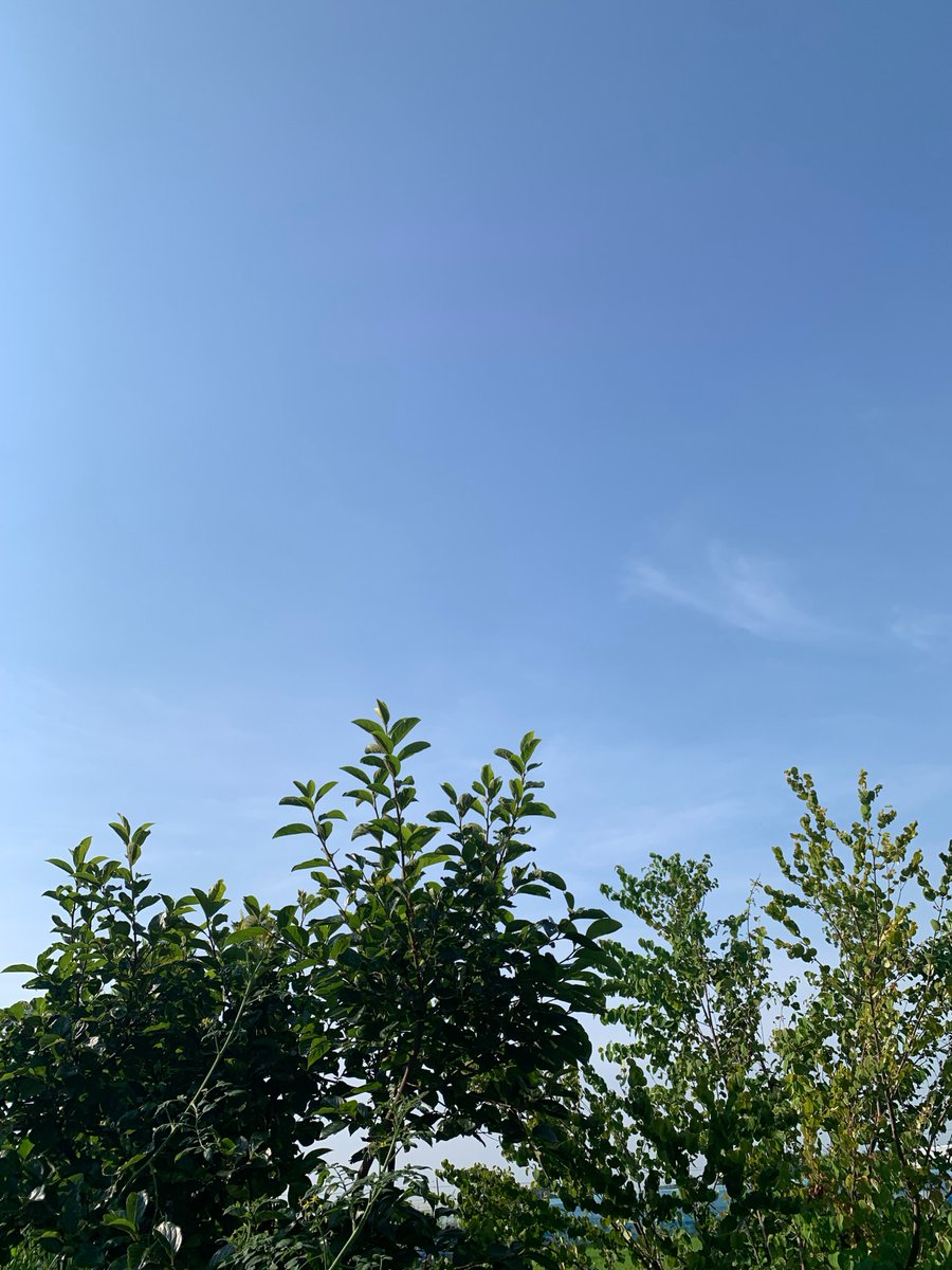 alpha_kokin's tweet photo. おはようございます
さいたま市は晴れ！

今日も暑くなりそうです。
暑さ対策、こまめに
水分補給をしながら
安全にまいりましょう！

本日もよろしく
お願い致します。

#アルファ抗菌サービス　
#企業公式が毎朝地元の天気を言い合う
#企業公式相互フォロー
#抗菌　#埼玉　#さいたま市 https://t.co/o5gljWd8aR