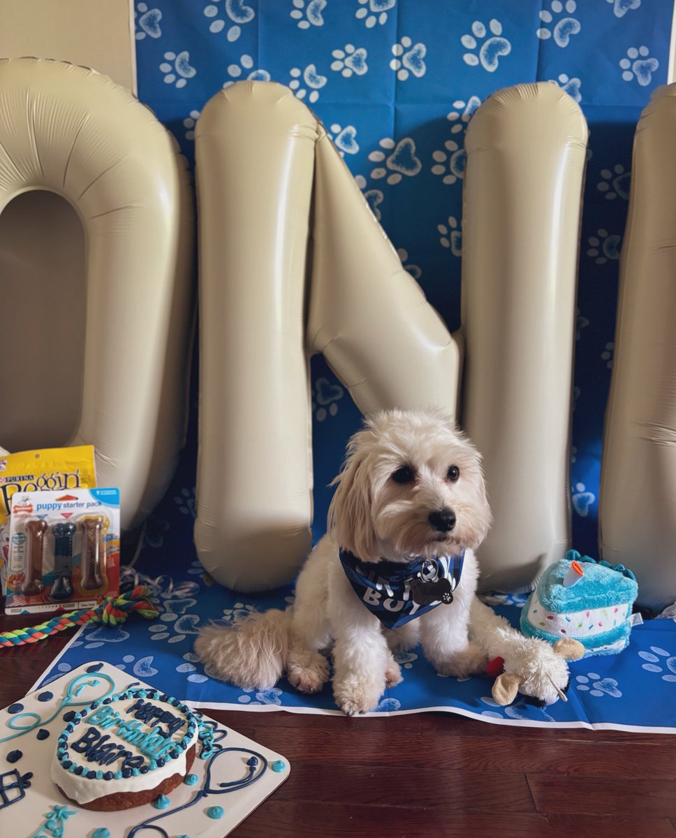 uadorejaay_'s tweet photo. Happy Birthday to my Son 💙🐶 BIG1️⃣ https://t.co/KRChe2wo7k