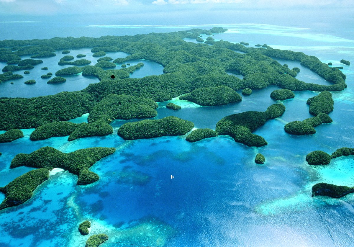 One World One Ocean tweet media