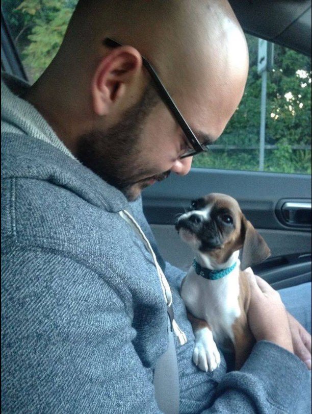 lindaworkerbee's tweet image. #PetsForBiden